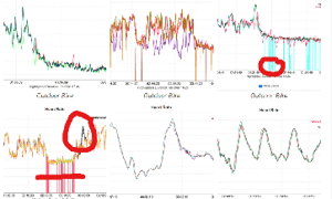 Is Whoop 5 / Mg Accurate? - A Definitive Answer