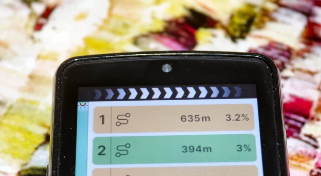 wahoo roam 3 persistent status bar turn chevron directions