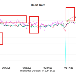 Triathlon test results - Polar LOOP vs Apple Watch Ultra vs Garmin HRM600 vs Garmin Elevate 5
