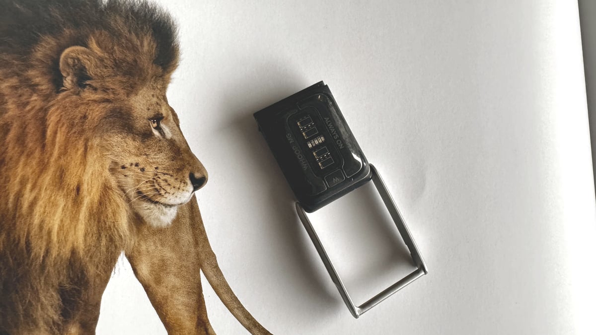 Buy Whoop 5.0 MG Discount