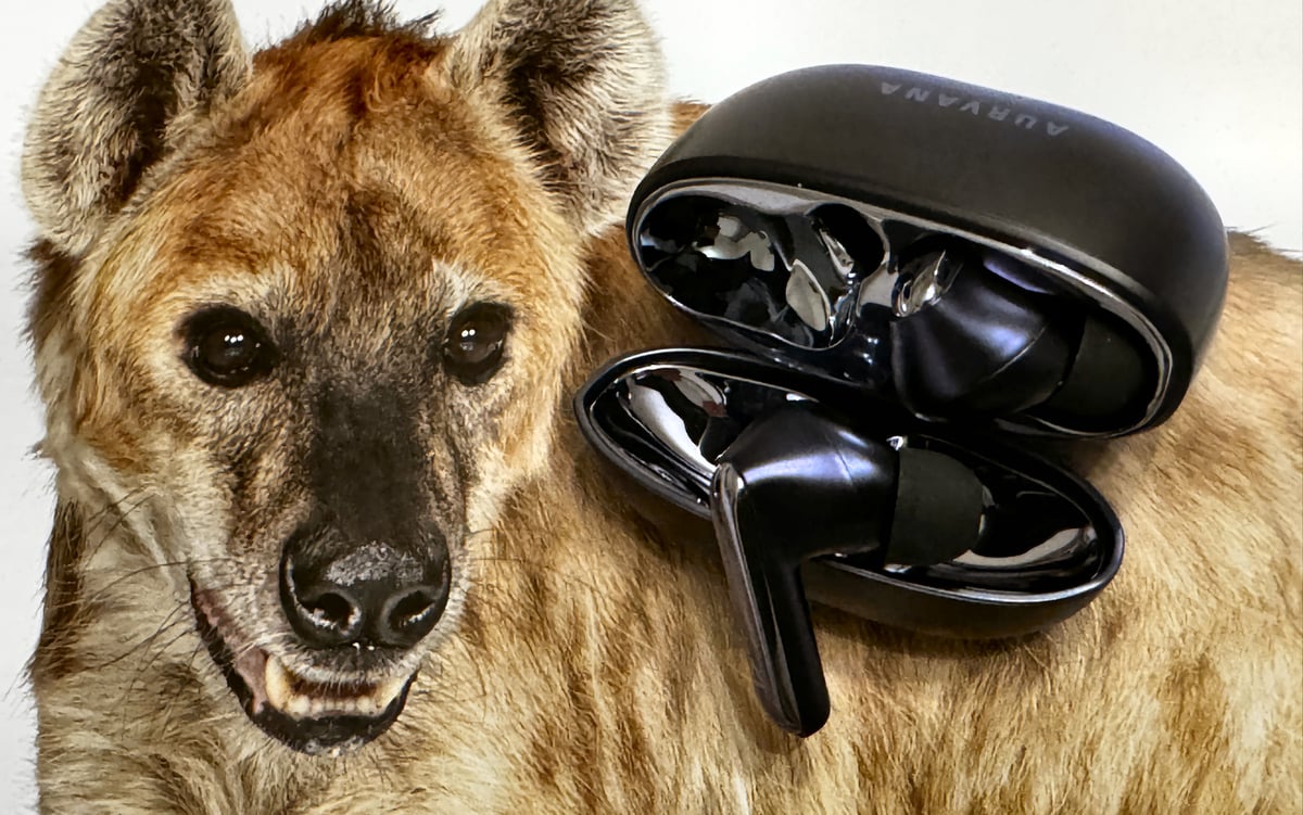 Creative Aurvana Ace 3 and charging case