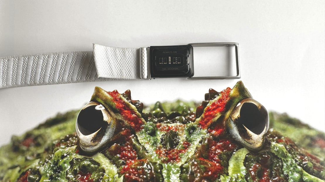 WHOOP's Biggest Heart Rate Algorithm Update Yet — Here's What Changed and Why It Matters