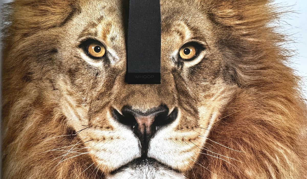 Whoop Strap MG Review 5.0