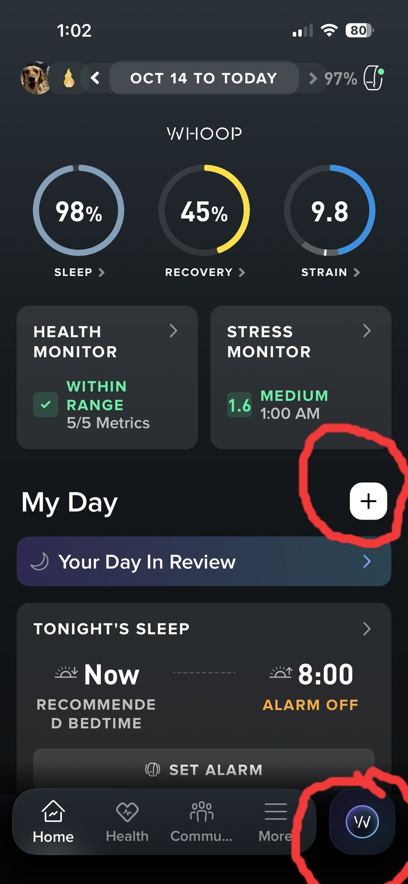 whoop app new homescreen layout