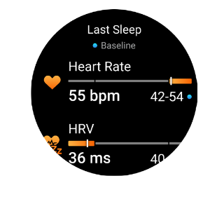 garmin Health Status