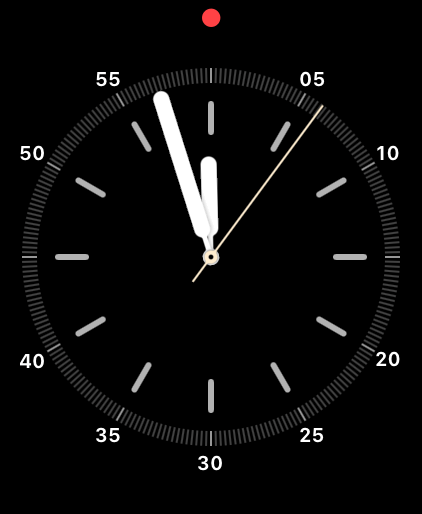 Apple Watch Watchface Simple