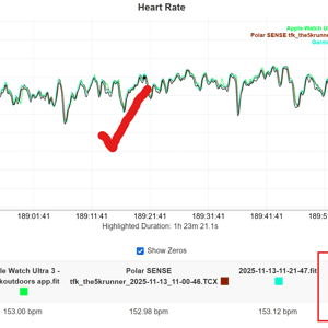 endurance run optical hr test