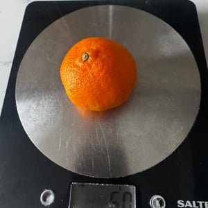 Weighing the satsuma
