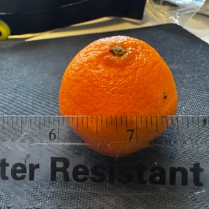 Measuring the satsuma