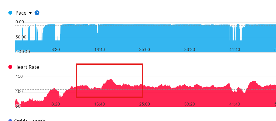 Garmin HRM-600 heart rate data chart showing initial recording errors
