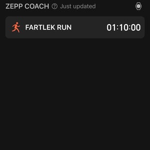 Today's Run - Fartlek