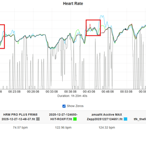 amazfit active max HR chart hyrox simulation