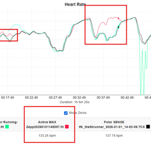 amazfit active max HR chart intervals road running