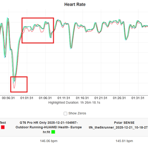 amazfit active max HR chart steady state road running