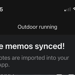 voice notes sync to zepp app later