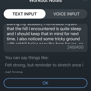 manually add a voice or written note to the workout after its synced