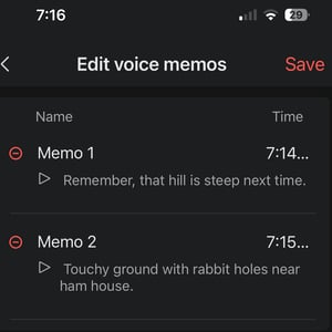 voice memos synced fro the watch and stored here on the app