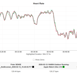 GT Runner 2 - HR accuracy running intervals