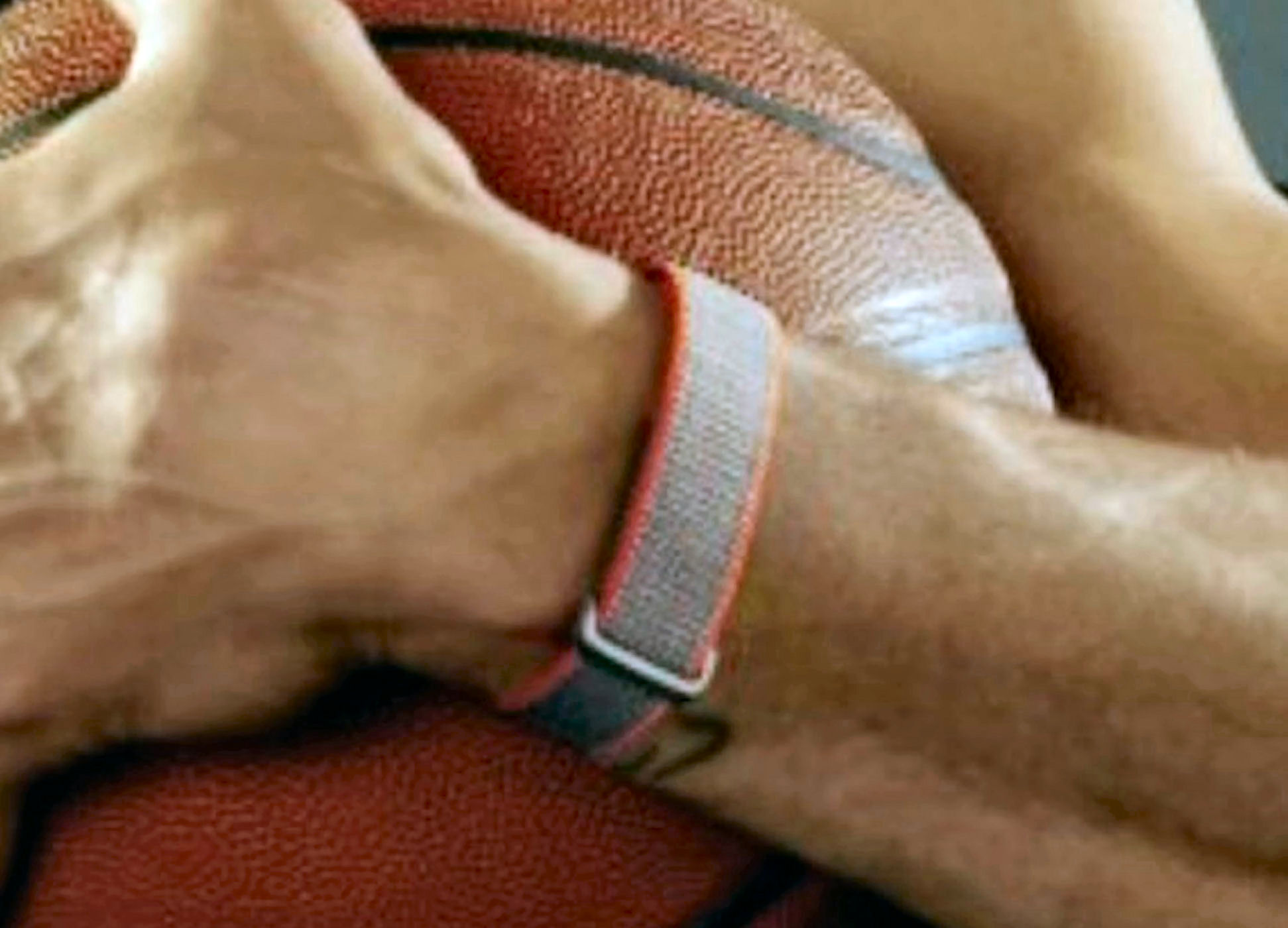 Steph Curry wearing the unreleased screenless Fitbit band, grey woven fabric with orange lining, close-up view