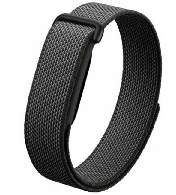 Google Fitbit Air