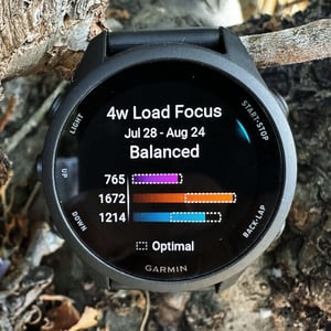 FR170 - Training Load Focus