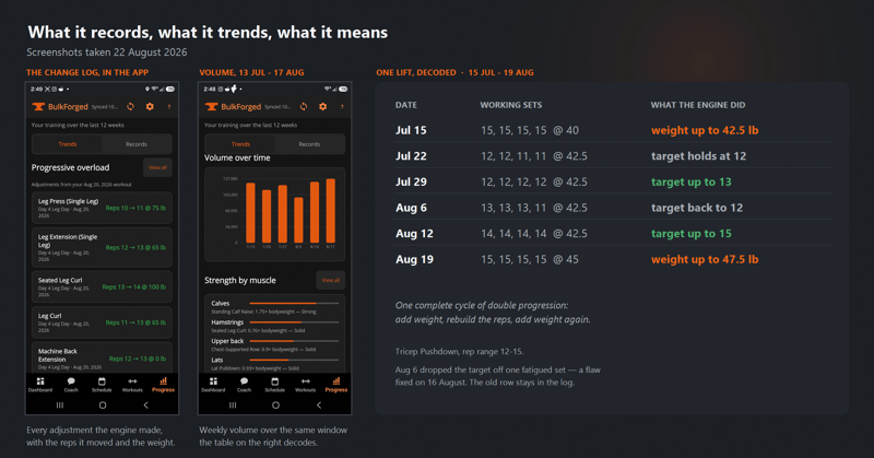 Bulkforged progression log showing per-exercise adjustments across three views: the change log for one workout, weekly training volume over six weeks, and a decoded history for tricep pushdown.