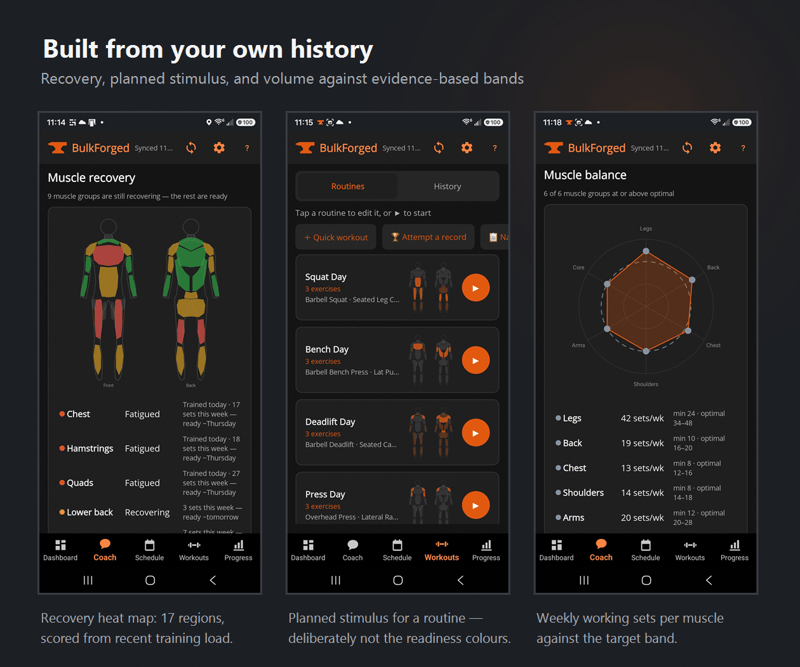 Bulkforged recovery views showing a muscle recovery heat map on front and back body silhouettes, routines with per-routine stimulus badges, and a muscle balance radar chart of weekly working sets.