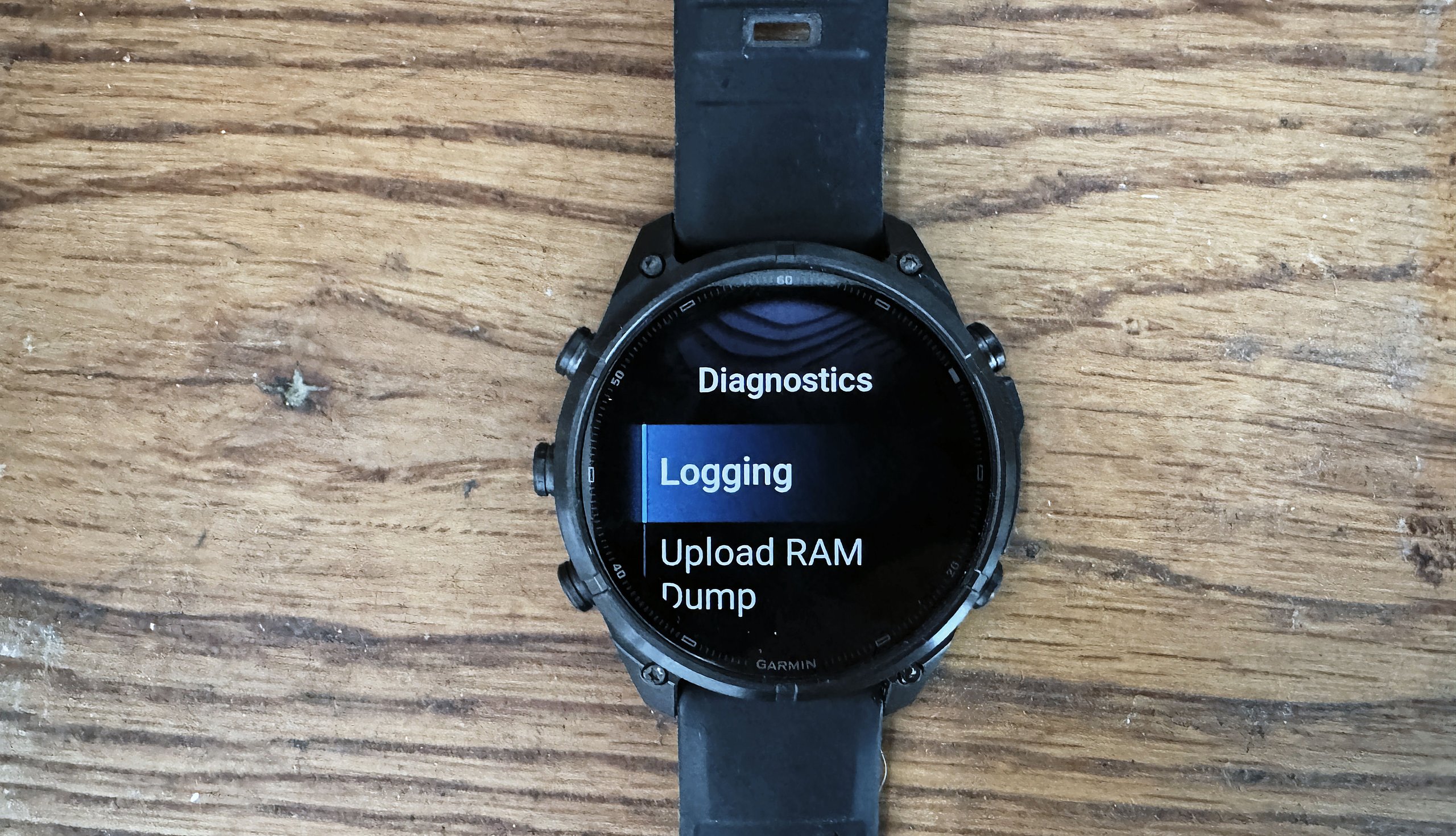 Garmin Fenix 9 Pro diagnostics screen