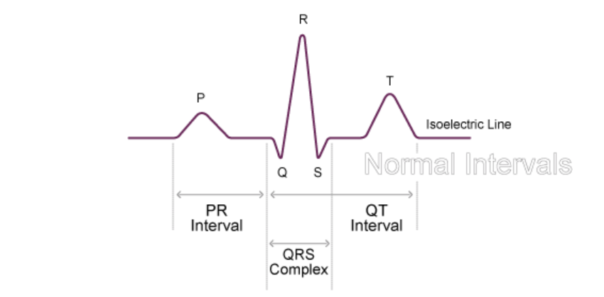 qrs hrv rr nn university of nottingham