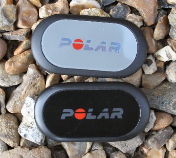 Polar H10