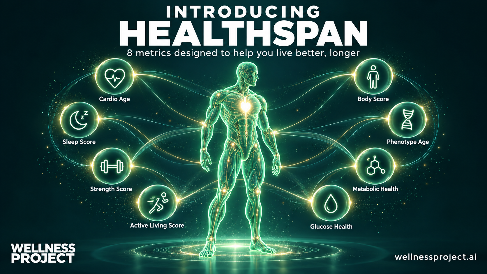 Wellness Project Healthspan report with eight separate long-term health factors