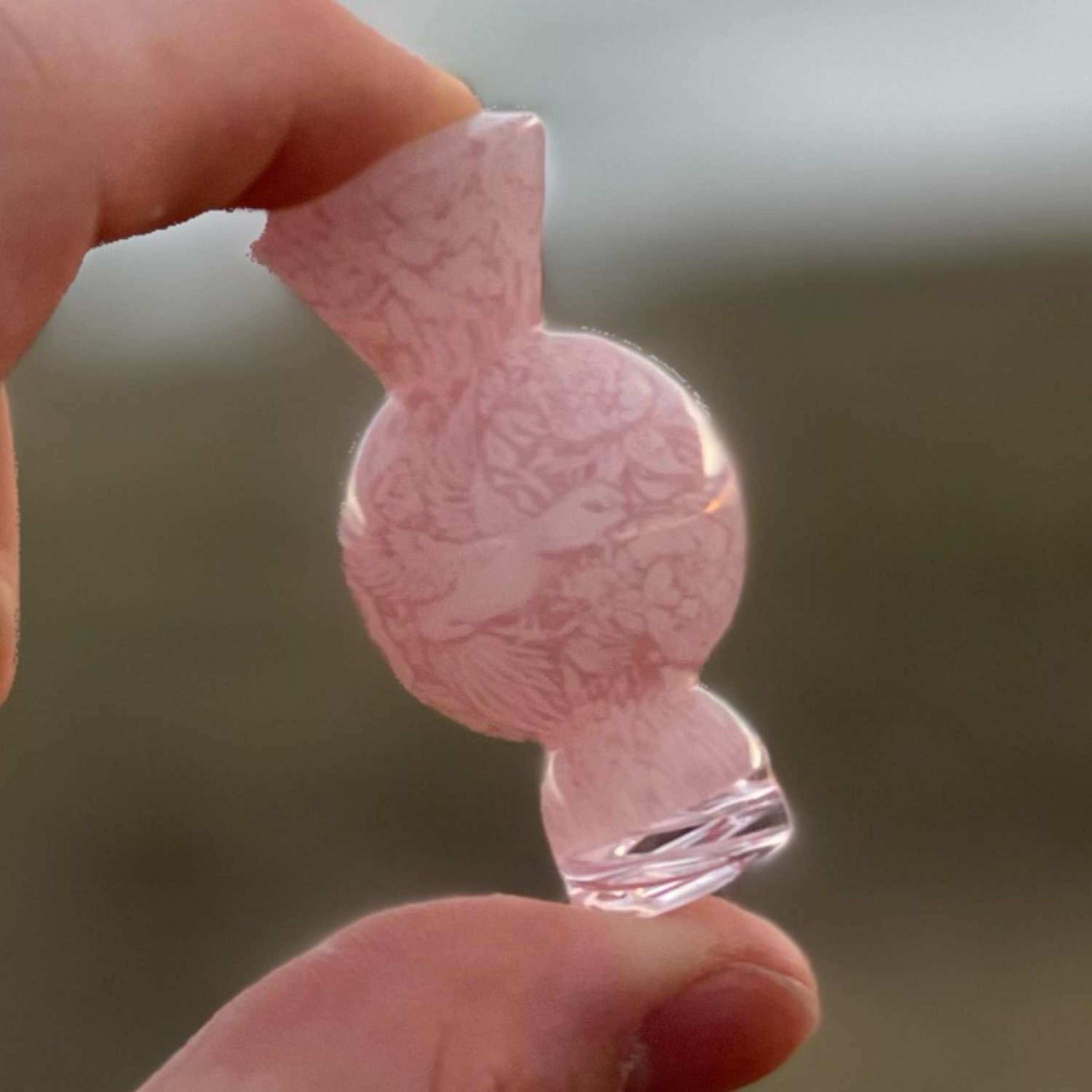 Binary Cap Pink Nectarivore image 0