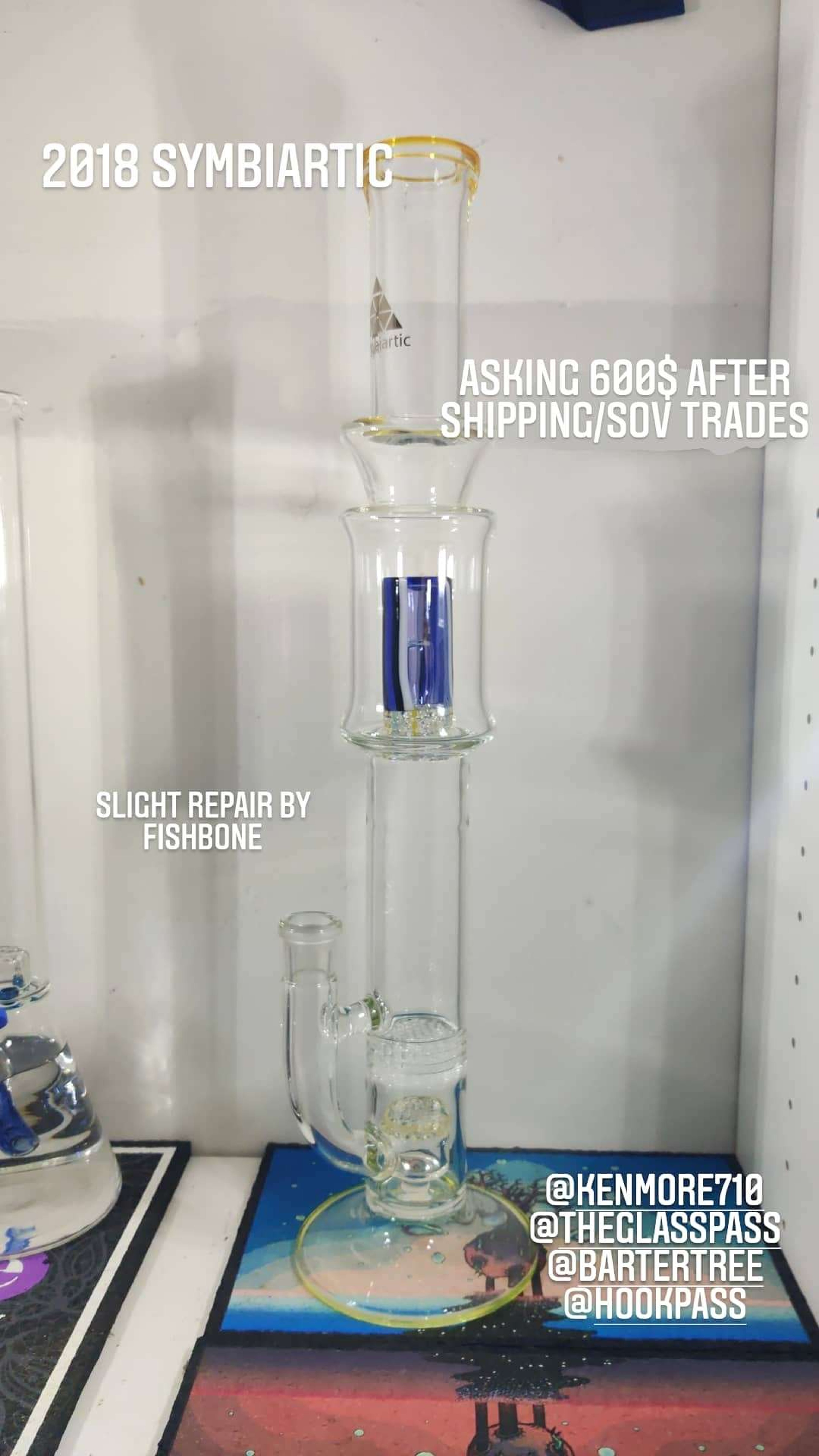 Preview pic of 2018 Symbiartic