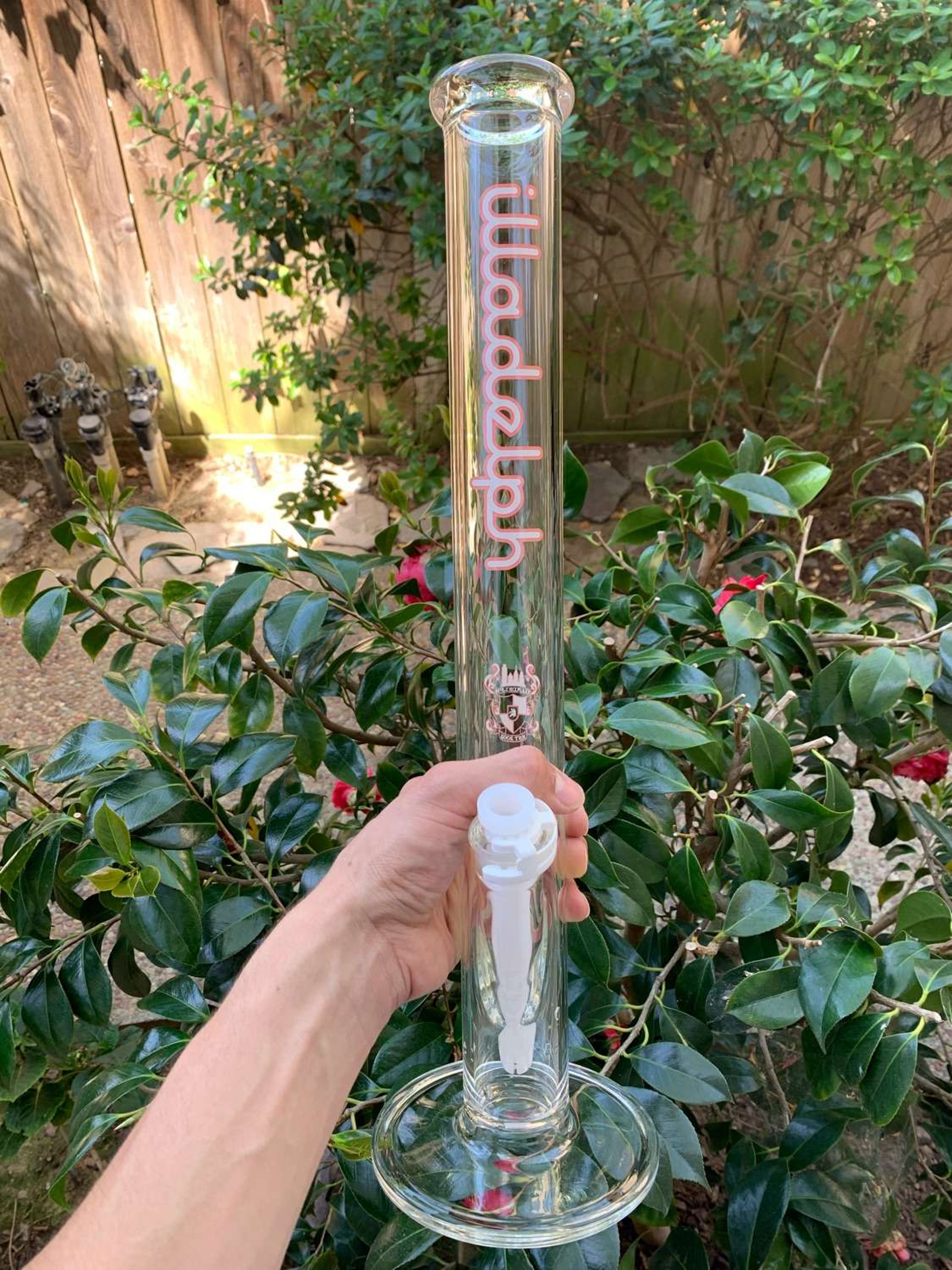 Preview pic of Illadelph 2020 Pink Label Straight Shot