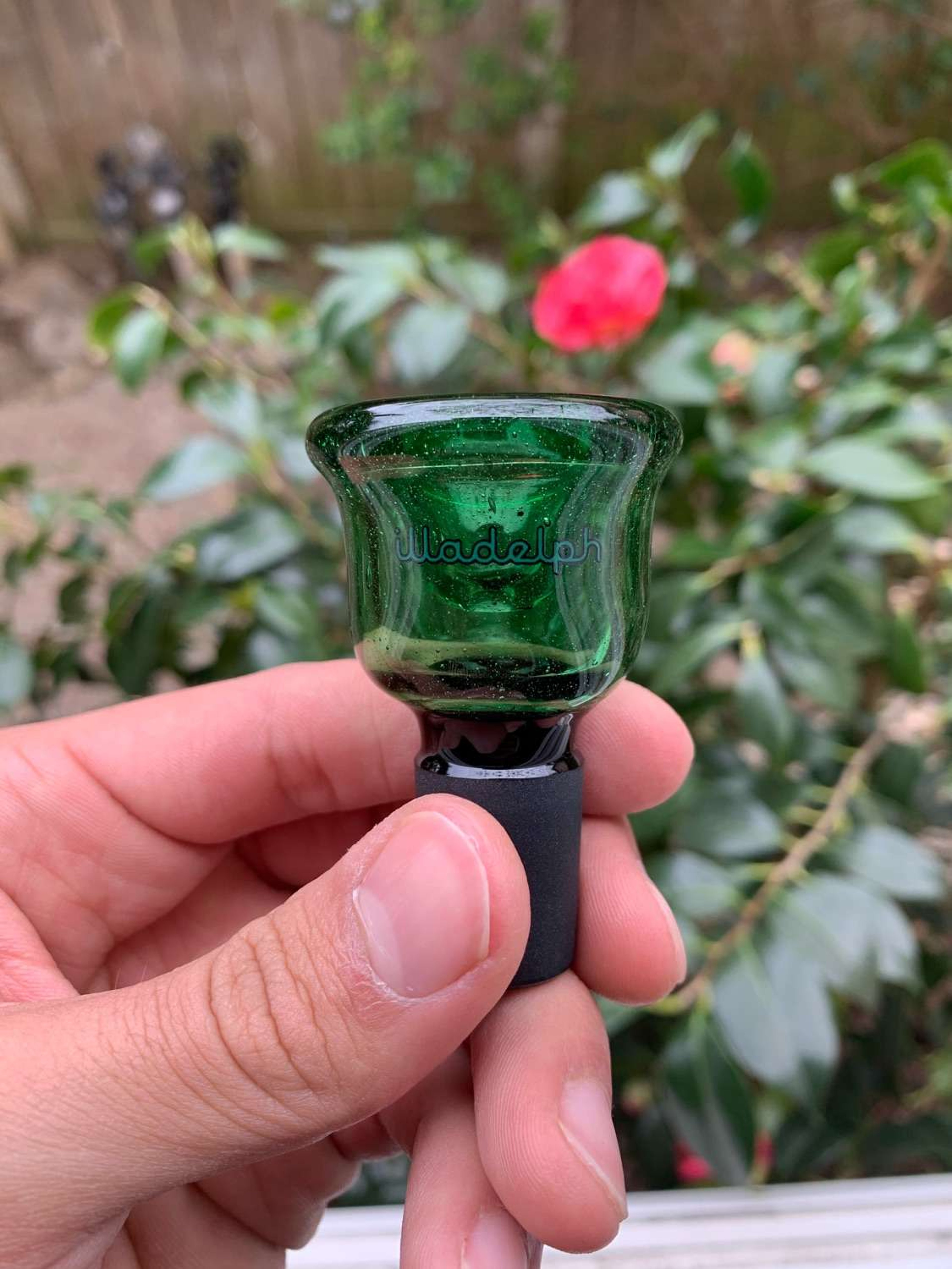 Preview pic of 2020 Medium hybrid Green Stardust Beaker