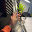 Small image 7