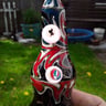 Small image 1