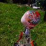 Small image 3