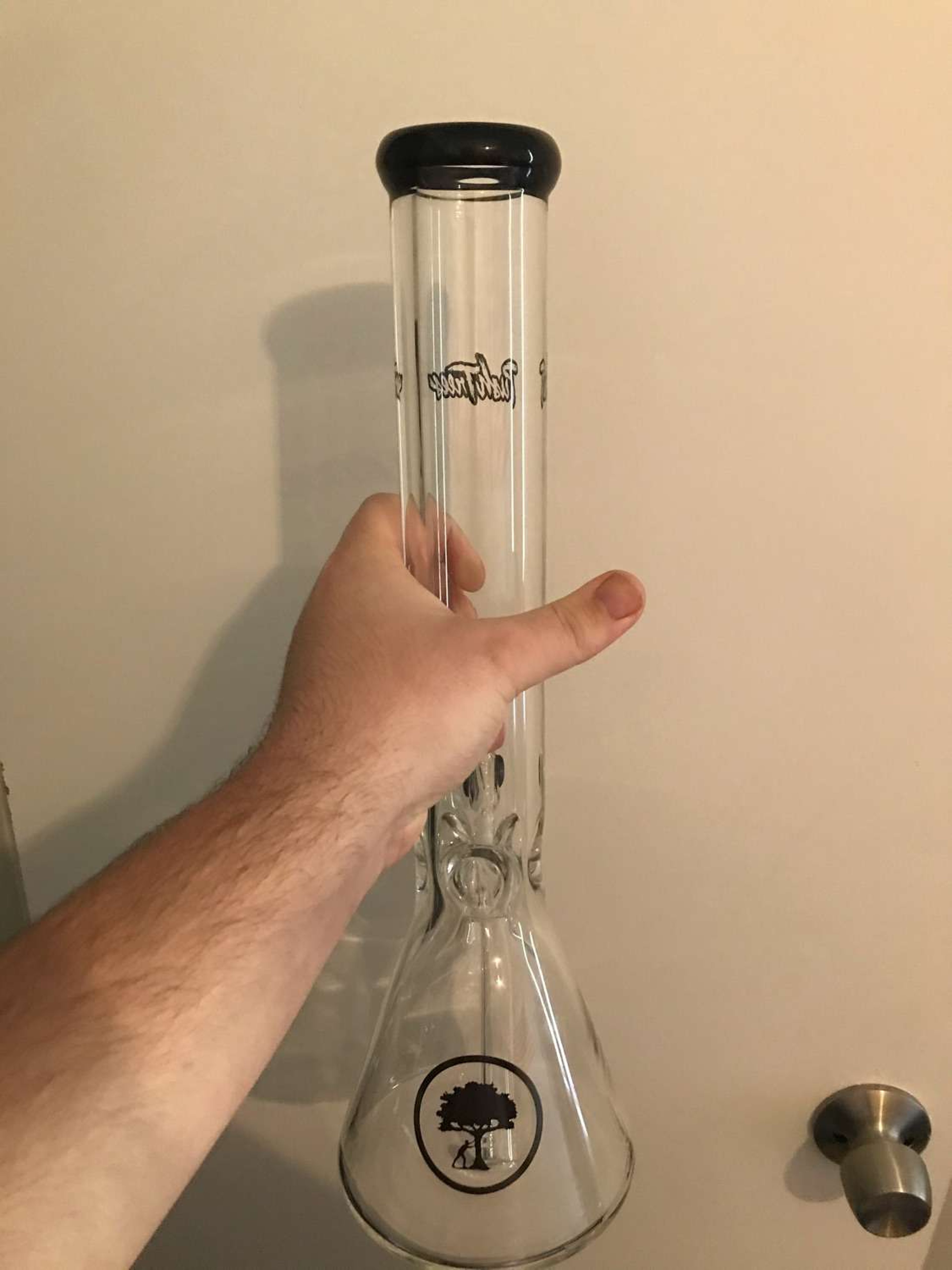 Push Trees Bong Drop Limited Edition image 0