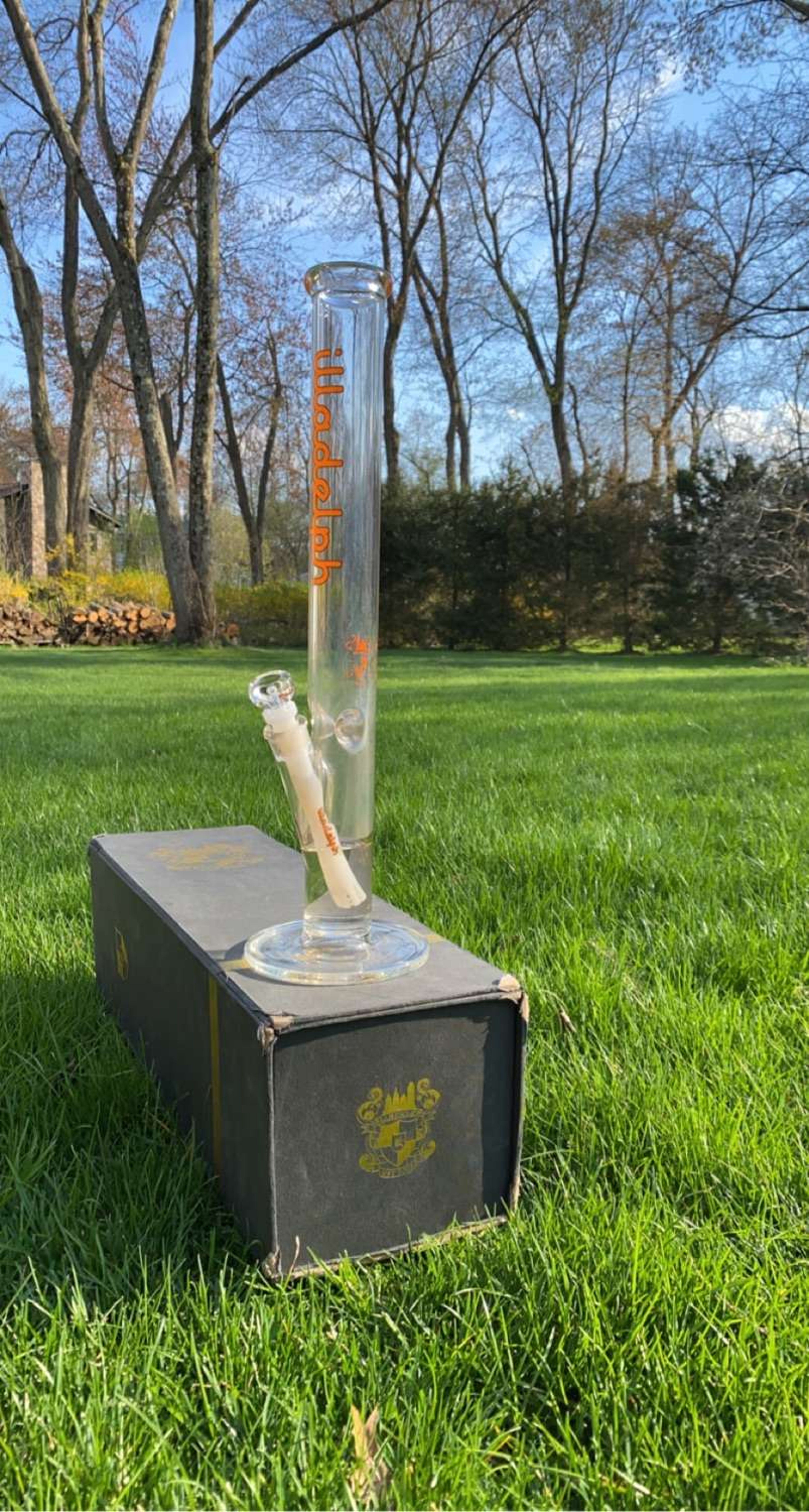 Preview pic of Illadelph Orange Medium Straight