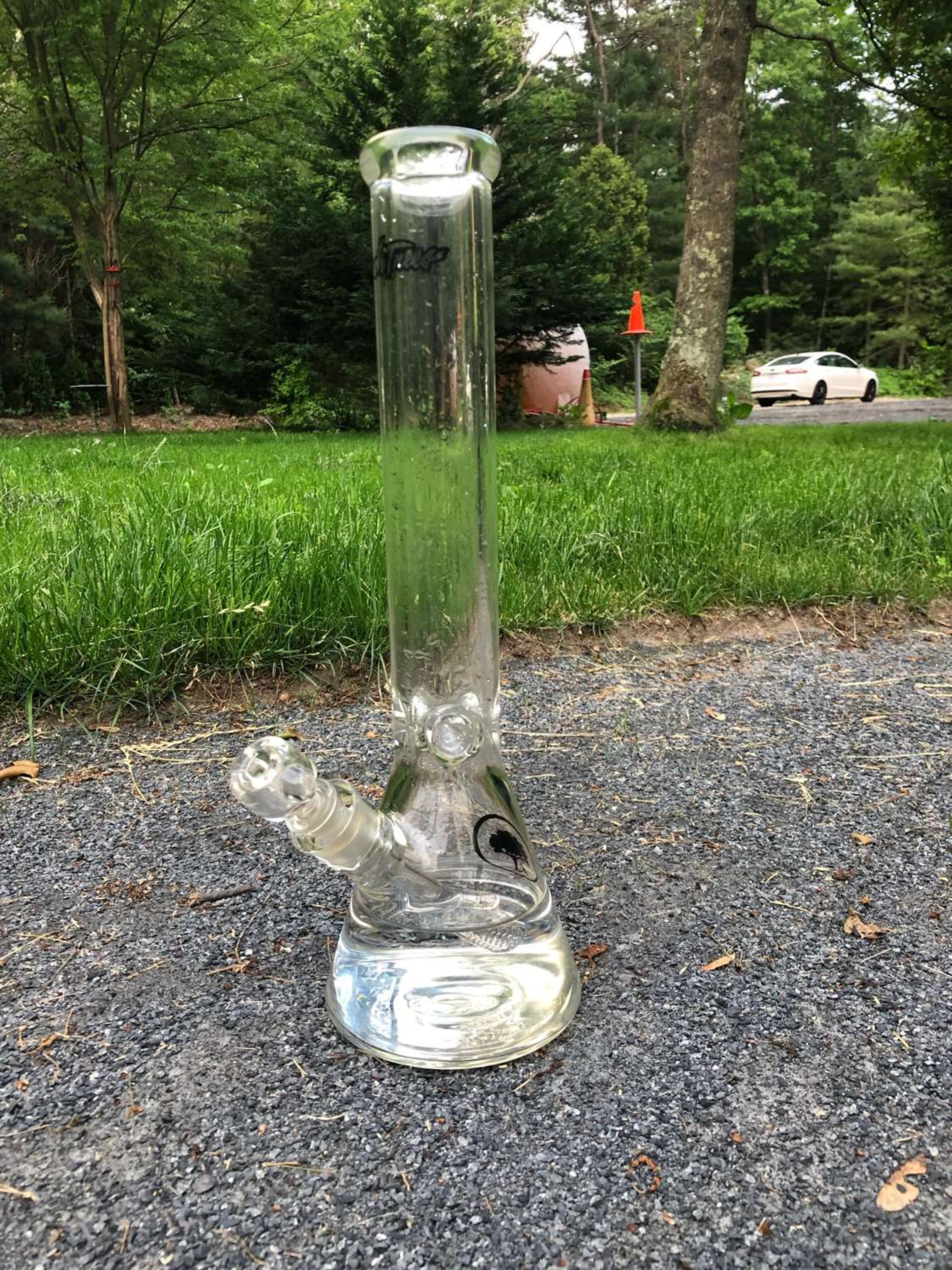 Push trees dope as yola 16 inch beaker image 0