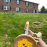 Small image 1