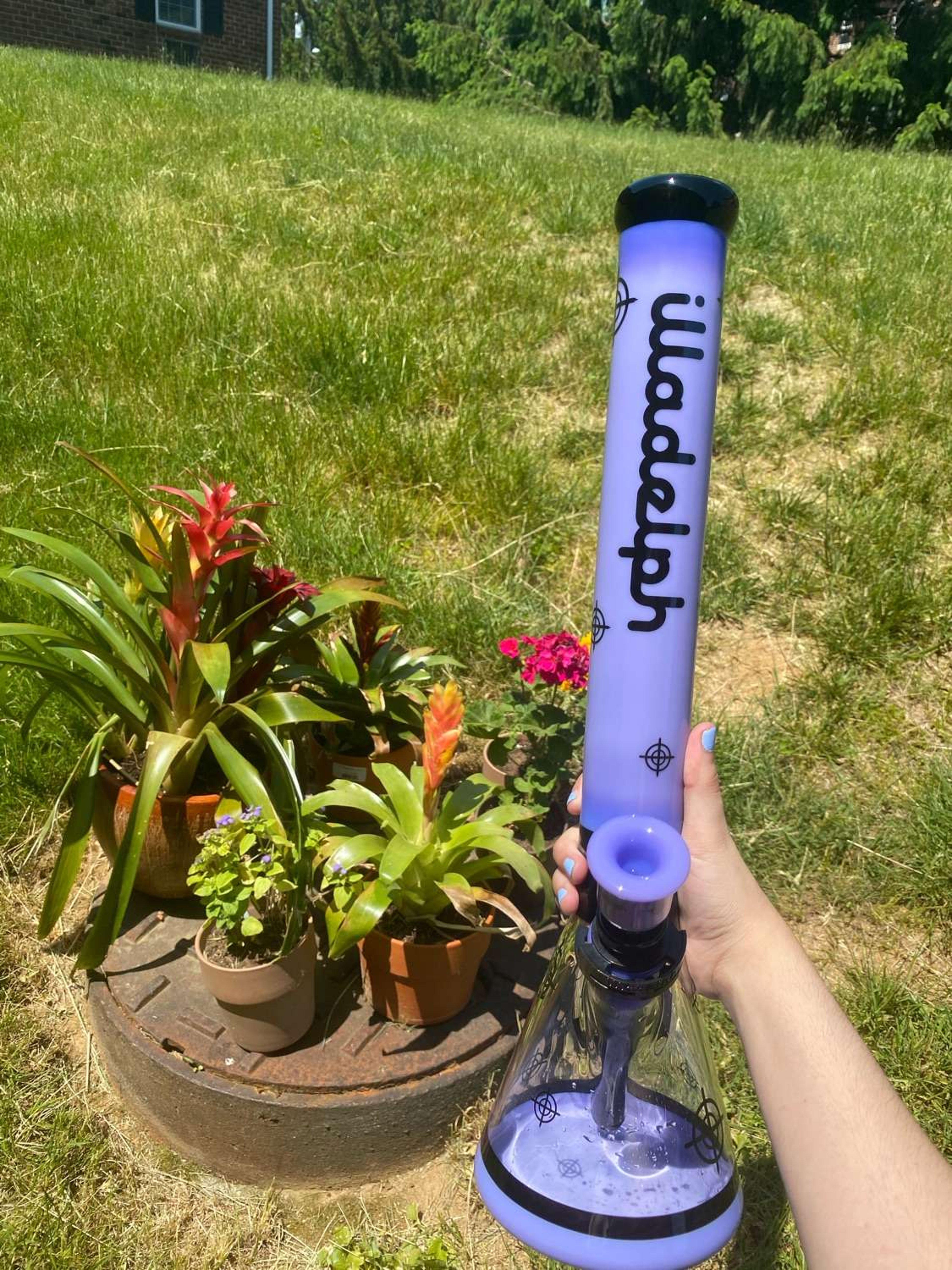 Heavy hitter hybrid milky purple scoped illadelph image 0