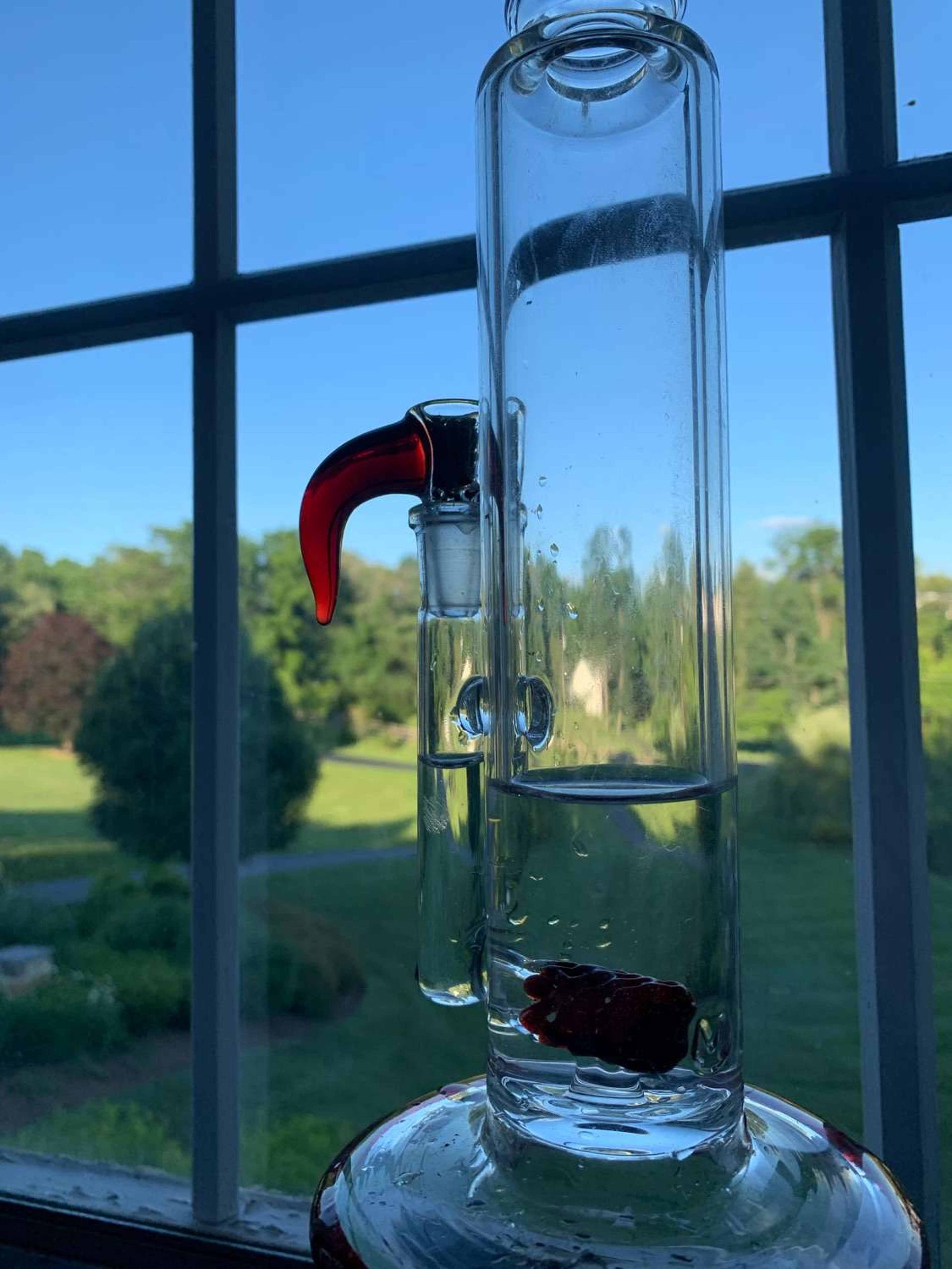 Preview pic of Fluid Glass Straight Shot. Will ship in 1 day