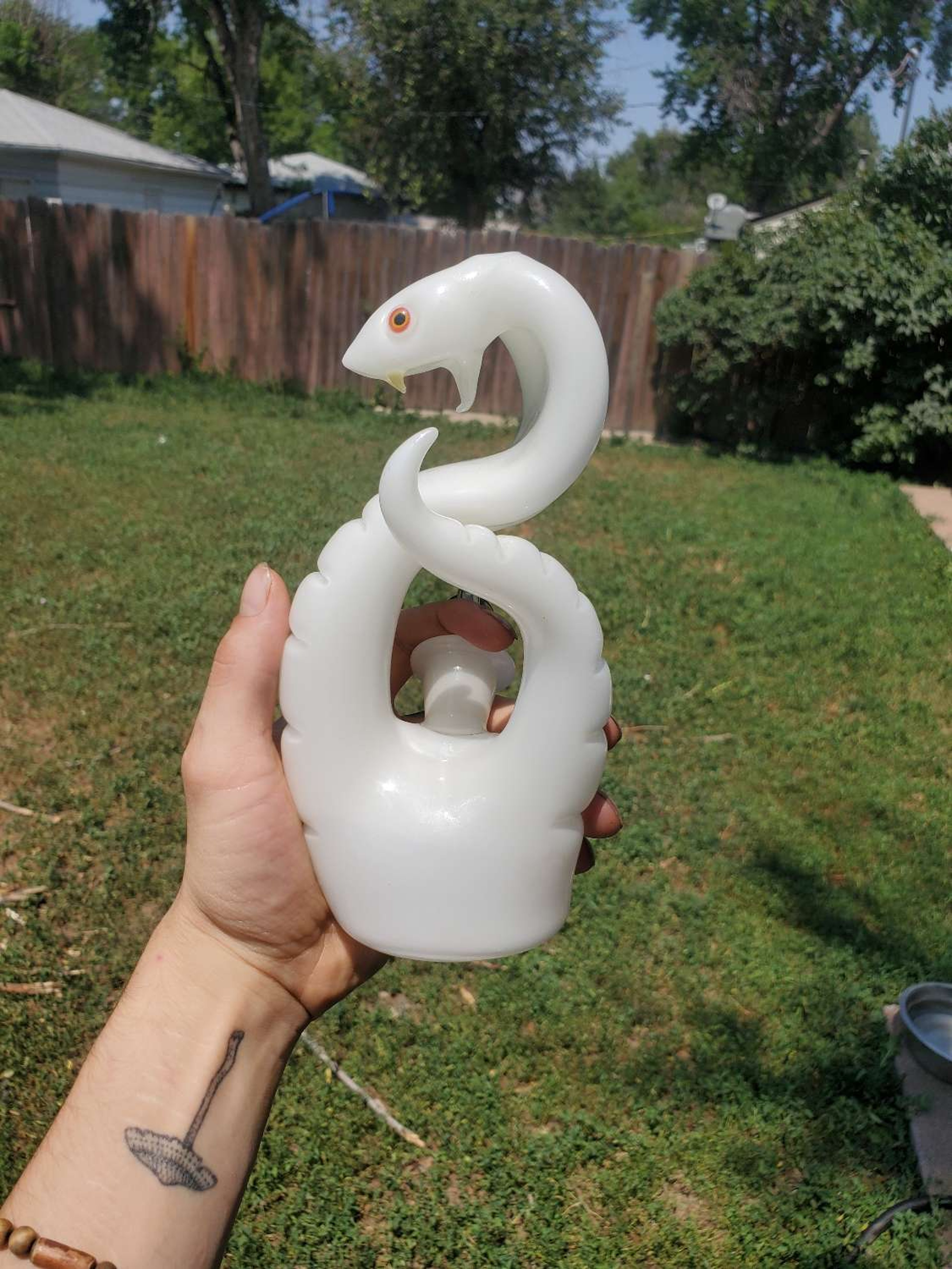 Preview pic of Niko cray albino King cobra 