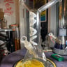 Small image 1
