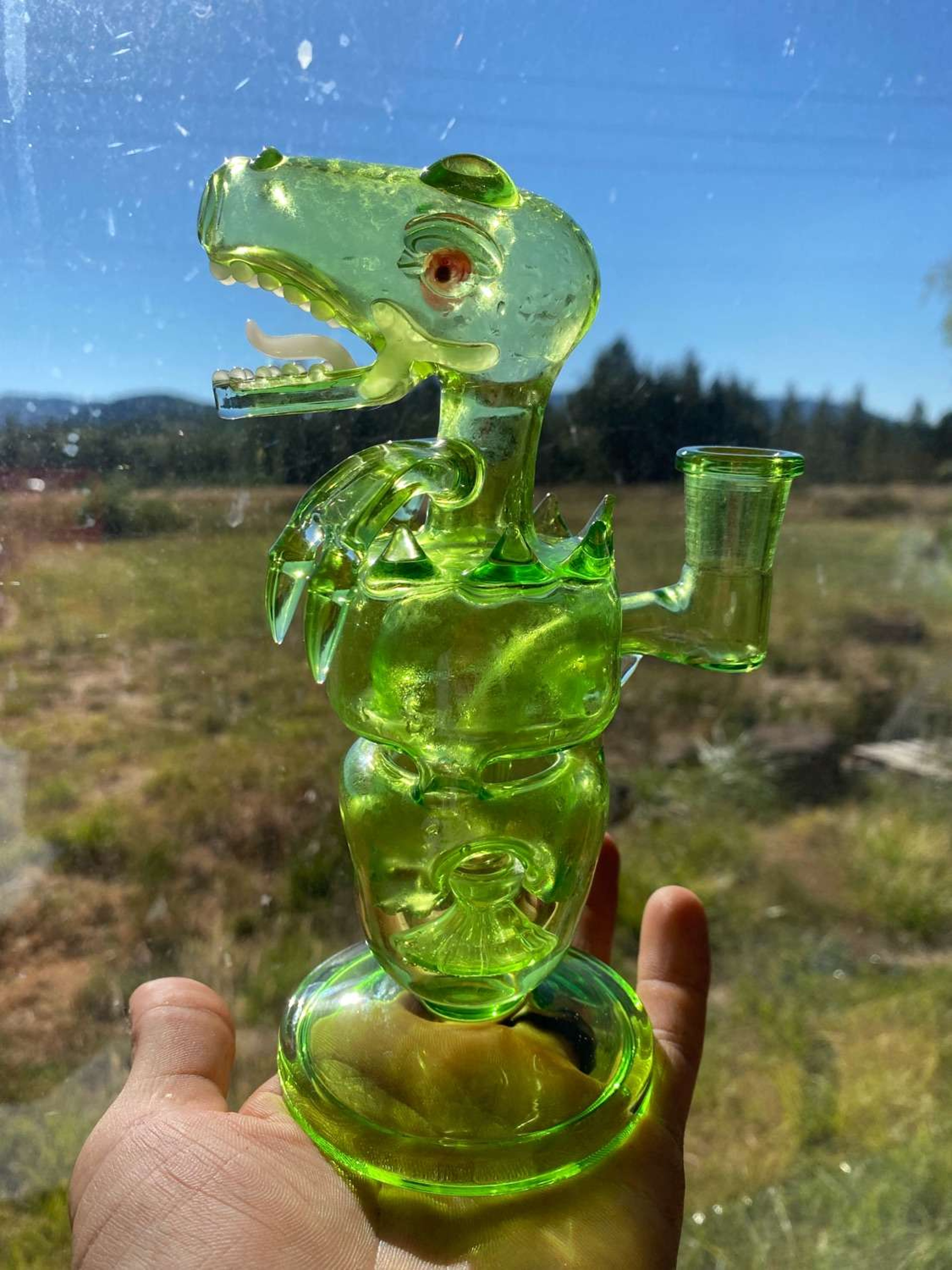 Preview pic of Unknown Dino