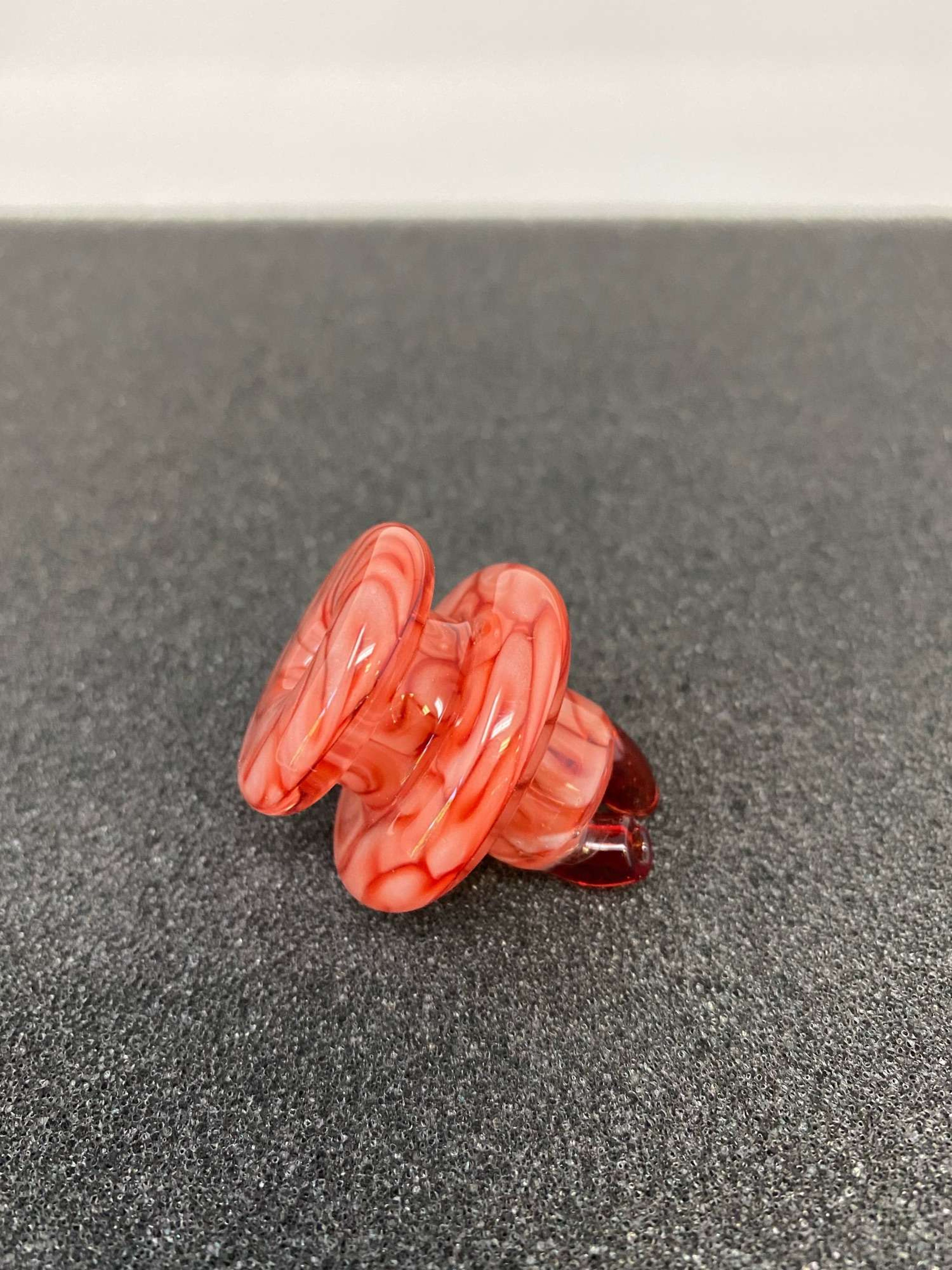 Algae - Spinner Cap image 0