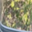 Small image 8