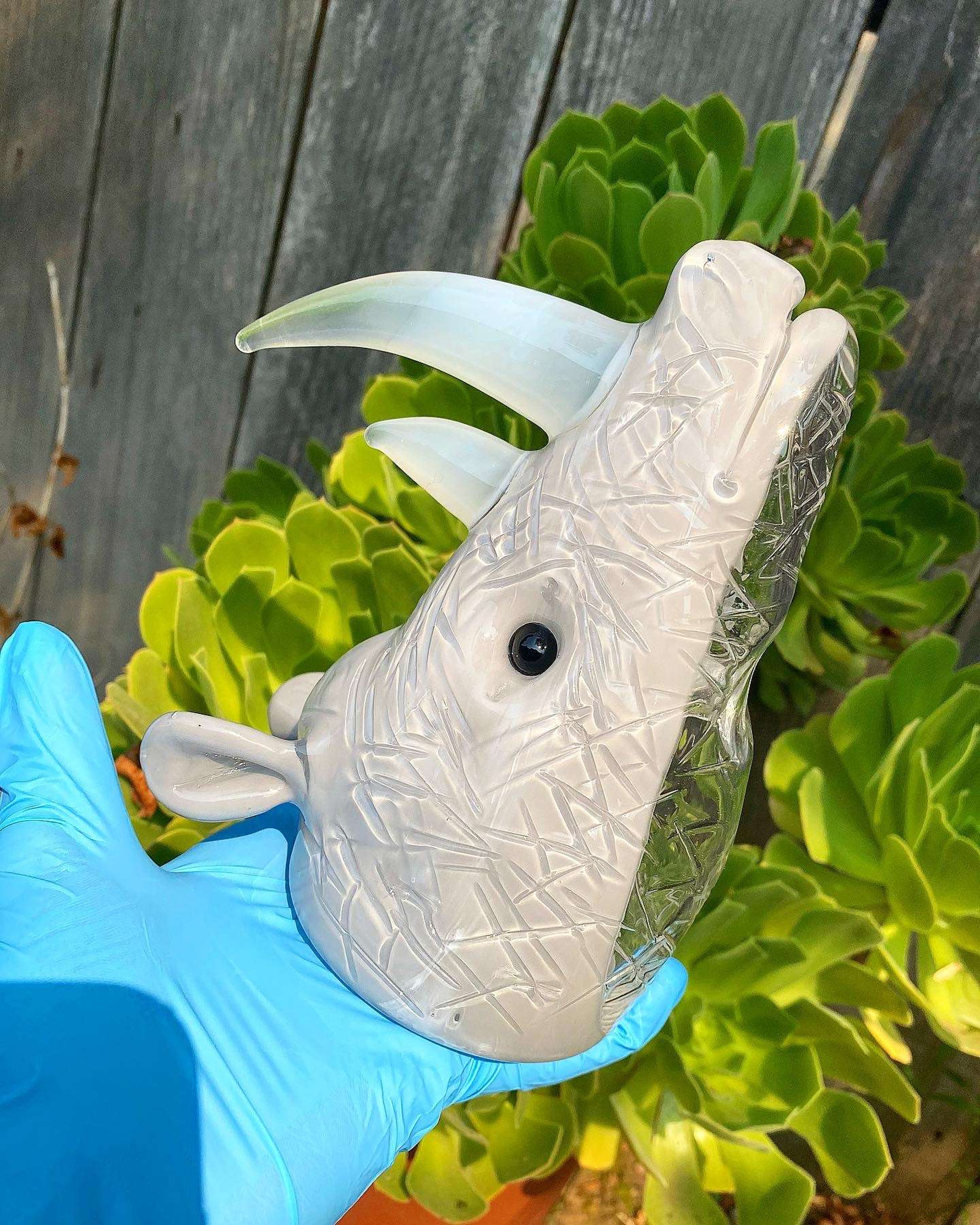 Addison Hanna Rhino image 0